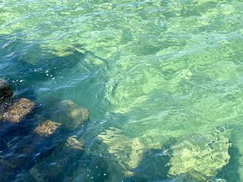 water