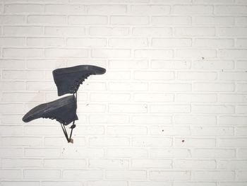 Close-up of bird against brick wall