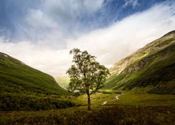 Scenic view of tree mountains against sky