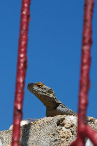 Low angle view of blue sky