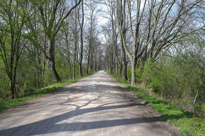 Empty road along trees in forest