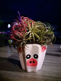 Close-up of potted plant on table