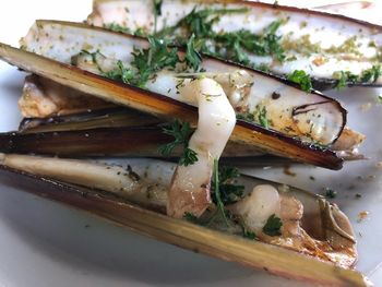 High angle view of fish on plate