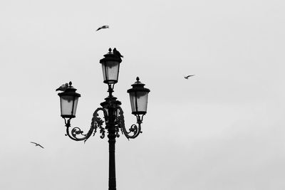Low angle view of street light against sky