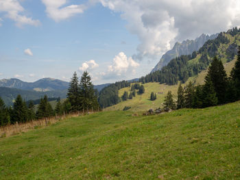 Scenic view of field against sky