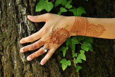 Close-up of woman hand on the tree. indian henna tattoo