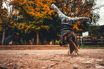 Baby girl  jumping by tree in park during autumn