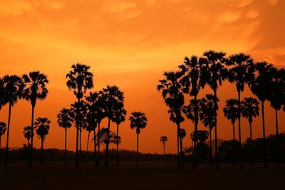 Silhouette palm trees on field against orange sky