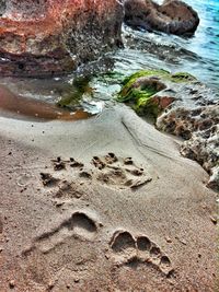 High angle view of rocks on beach