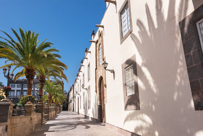 Panoramic shot of palm trees and buildings against sky