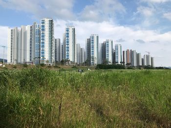 Scenic view of field against modern buildings in city against sky