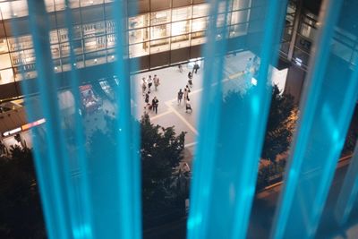 Plants seen through glass window