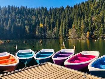 Boats moored on lake against trees