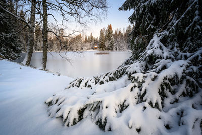 Scenic view of snow covered field and trees