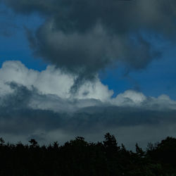 Low angle view of silhouette trees in forest against sky