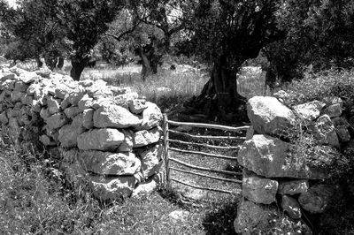 Stack of rocks and trees in park