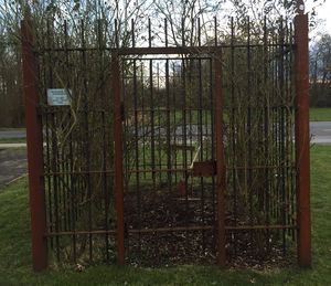 Fence on grassy field