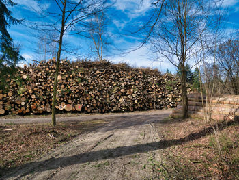 Stack of logs on field against trees and plants in foreground