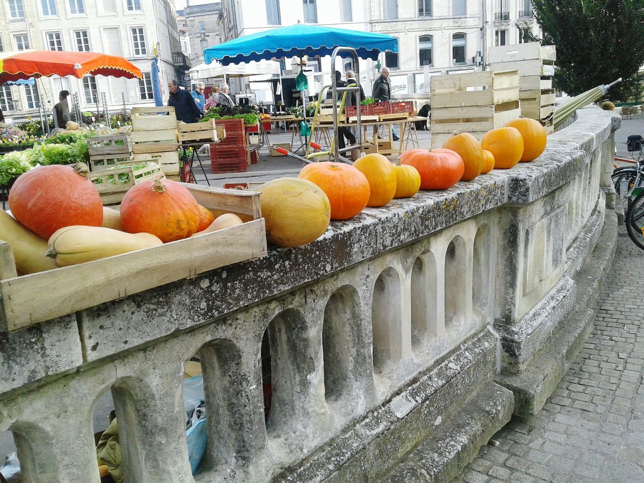 large group of objects, in a row, for sale, food and drink, abundance, building exterior, variation, built structure, retail, architecture, arrangement, market, food, side by side, freshness, incidental people, market stall, fruit, day, multi colored