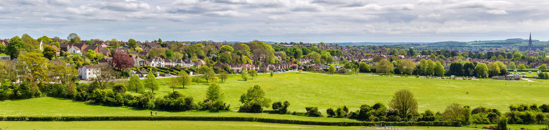 Panoramic shot of trees on landscape against sky