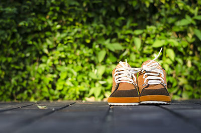 Children brown shoes on a floor with leaves background in sunny evening. wear brown shoes day