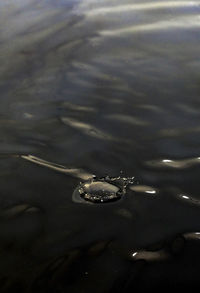 High angle view of water splashing in lake