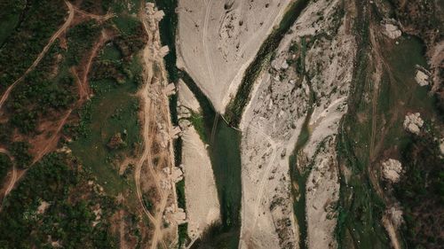 High angle view of plants growing on land