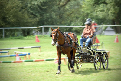 Horse riding motorcycle on country road