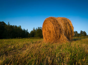 Hay bales on field against clear sky