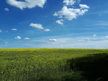 Scenic view of field against sky