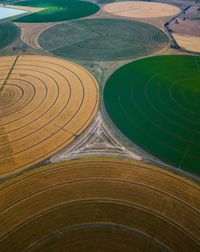 Full frame shot of agricultural field