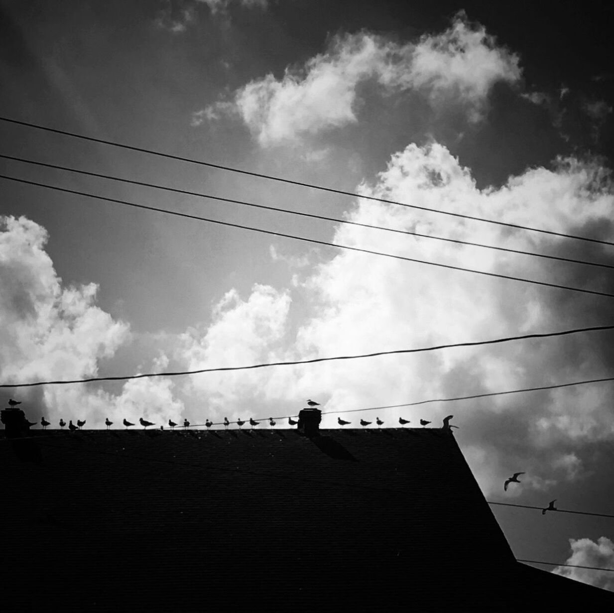 LOW ANGLE VIEW OF TELEPHONE POLE AGAINST SKY