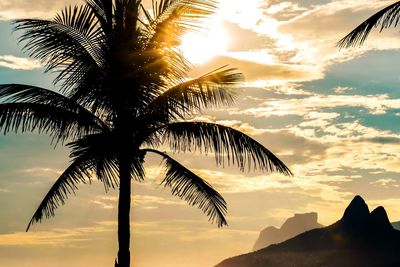 Low angle view of silhouette coconut palm tree against sky during sunset