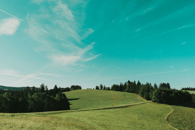 Scenic view of field against sky