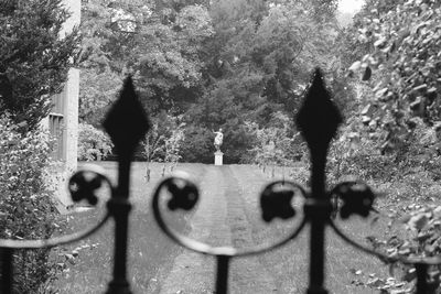 Close-up of metal gate