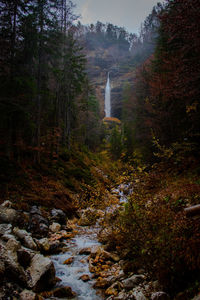 Stream flowing through rocks in forest