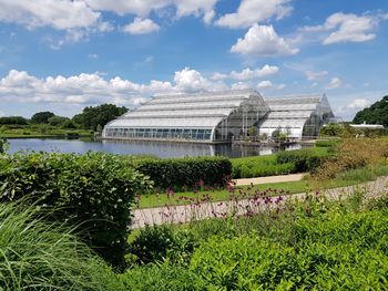View of flowering plants against cloudy sky