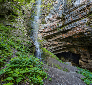 Scenic view of waterfall in forest