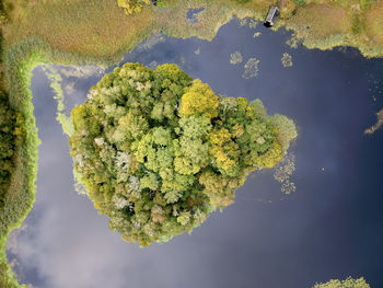 High angle view of plant in lake against sky