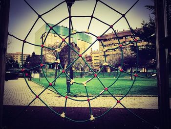 Trees seen through chainlink fence