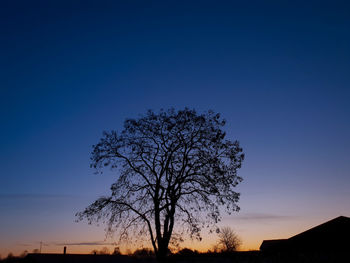 Low angle view of silhouette tree against clear sky at sunset