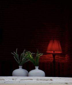 Close-up of potted plant on table against black background