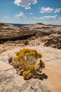 Scenic view of desert against sky