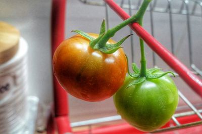 Close-up of tomatoes