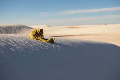 Toy animal on snow covered landscape against sky
