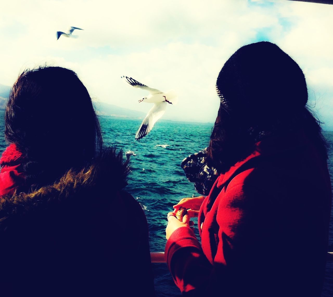 leisure activity, flying, lifestyles, sea, men, sky, rear view, horizon over water, transportation, mid-air, bird, person, togetherness, travel, air vehicle, airplane, mode of transport