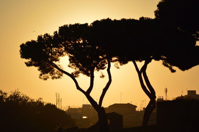 Silhouette tree against sky during sunset