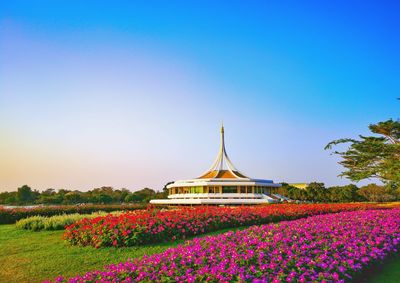 View of flowering plants on field against blue sky