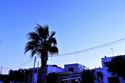 Low angle view of silhouette palm trees against clear sky