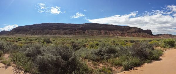 Scenic view of landscape against sky